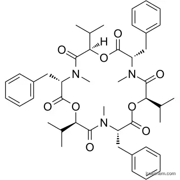 STD#4111U Beauvericin 13C isotope labeled standard