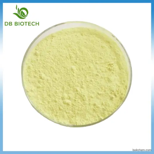 Quercetin Dihydrate CAS 117-39-5  Quercetin Anhydrous Sophora Japonica Extract in bulk supply