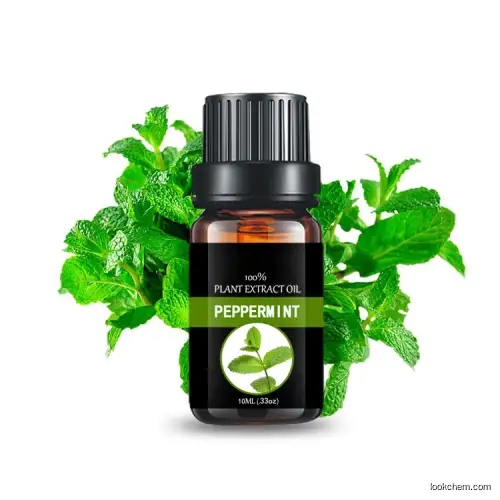 Sale Customized small bottle massage oil Mint essential oil extracted Peppermint leaf Essential oil(68917-18-0)