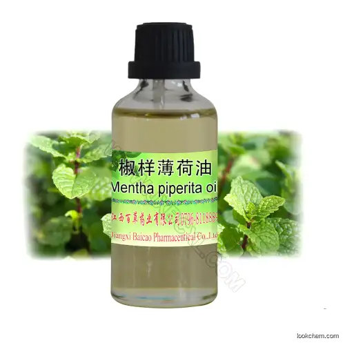 Natural Pure Bulk Peppermint Essential Oil Exporting