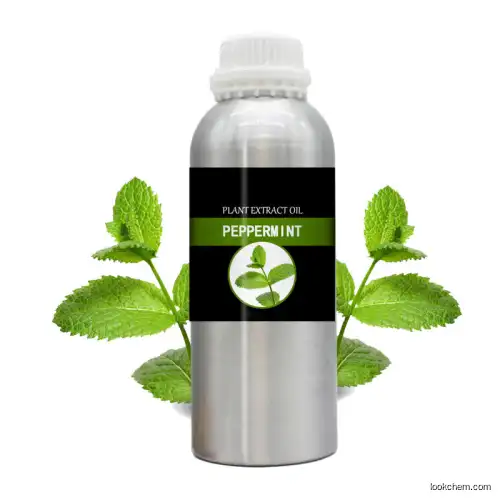 Natural Pure Bulk Peppermint Essential Oil Exporting