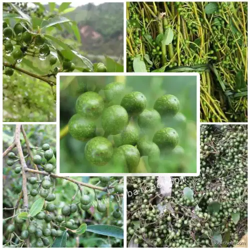 Factory price food grade Litsea cubeba oil