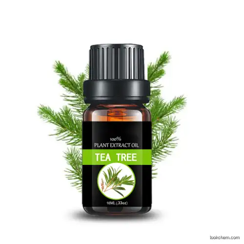 Pure Natural Distilled Oganic Australian tea tree oil made in china prices for cosmetics Skin Care