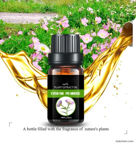 plant essential oil Evening primrose oil perfume oil cosmetic raw material