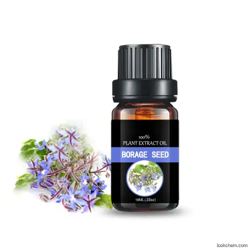 sale Customized small bottle manufacturer essential oil  wholesale Borage seed  oil