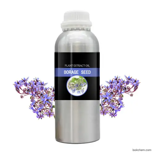 sale Customized small bottle manufacturer essential oil  wholesale Borage seed  oil