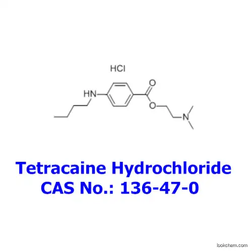 Tetracaine Hydrochloride, USP Grade