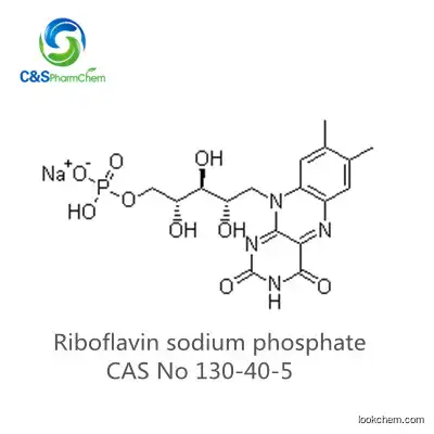 99% Riboflavin sodium phosphate EINECS 204-988-6