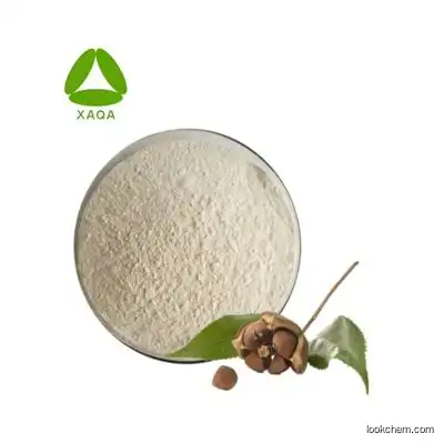 High Quality Shampoo Camellia Oleifera Seed Extract Tea Saponin Powder