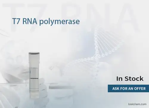 T7 RNA polymerase，250U/μL
