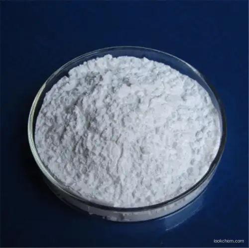 Hydroxypropyl Methyl Cellulose Manufacturer 9004-65-3