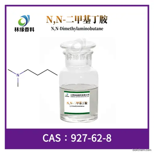 N,N-Dimethylaminobutane