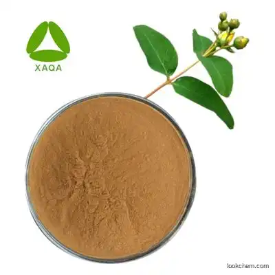Plant extract healthcare supplement 30:1 forsythia suspensa extract