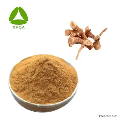 Natural Plant Extract Alpinia officinarum Hance Extract 30:1