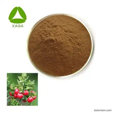 Healthcare Supplement Butchers Broom Root Extract Ruscus Aculeatus Bark Extract powder 10:1