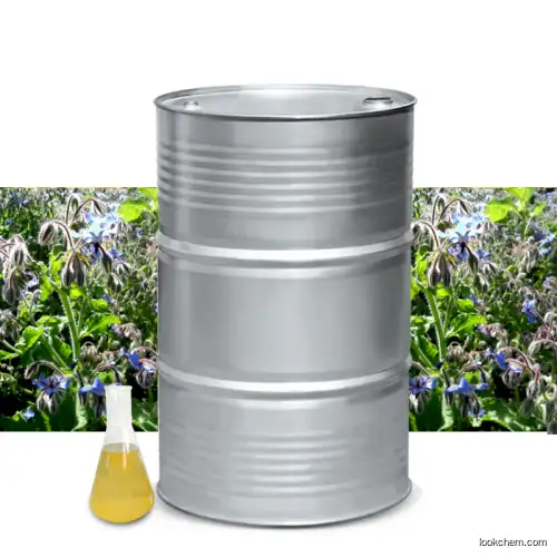 Top Quality Organic Borage Seed Oil