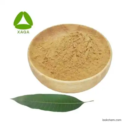 Food additives natural mango leaf extract powder 10:1