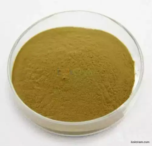 Effective and High-purity /Hedera Helix extract  CAS NO.84082-54-2