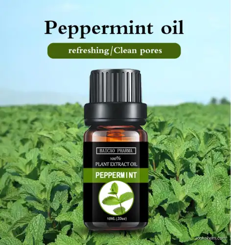 Peppermint oil essential natural oil with cheapest price
