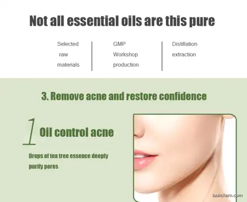 wholesaleTea tree oil with best price