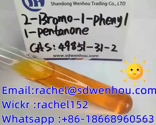 2-BROMO-1-PHENYL-PENTAN-1-ONE(49851-31-2)