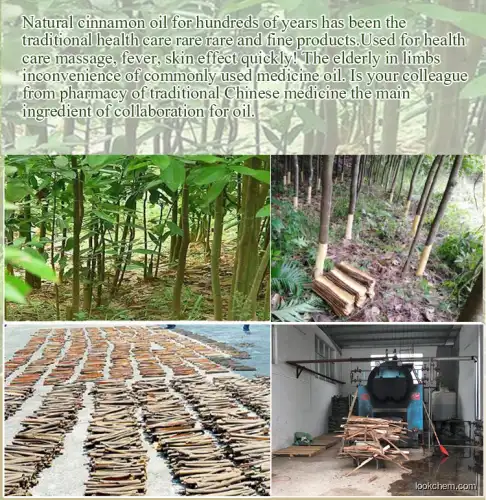 High purity Natural Cassia Oil with 90% cin extracted from cinnamon bark oil