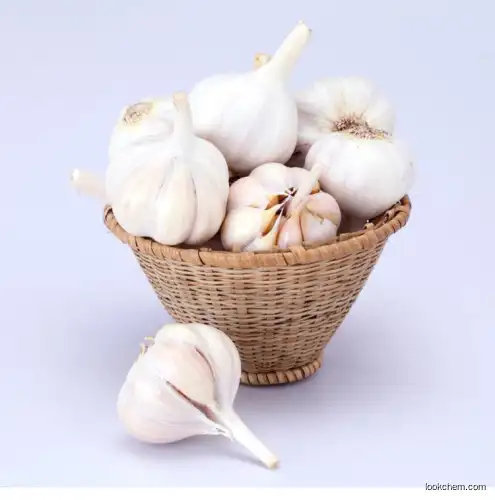 Food grade fresh garlic essential oil Natural Pure Food Grade Garlic Oil