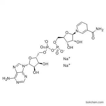 NADH disodium salt CAS 606-68-8 Β-Nicotinamide adenine dinucleotide, reduced disodium salt