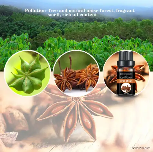 Wholesale 100%pure Health Care Food Grade for Star anise oil with best  price