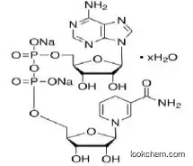 beta-Nicotinamide adenine dinucleotide disodium salt  CAS: 606-68-8