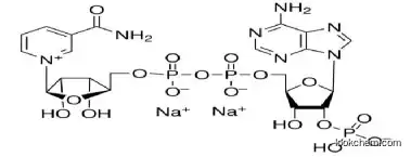 Triphosphopyridine nucleotide disodium salt  CAS: 24292-60-2