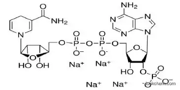 β-Nicotinamide adenine dinucleotide 2'-phosphate tetrasodium salt hydrate (reduced NADPH)  CAS: 2646-71-1