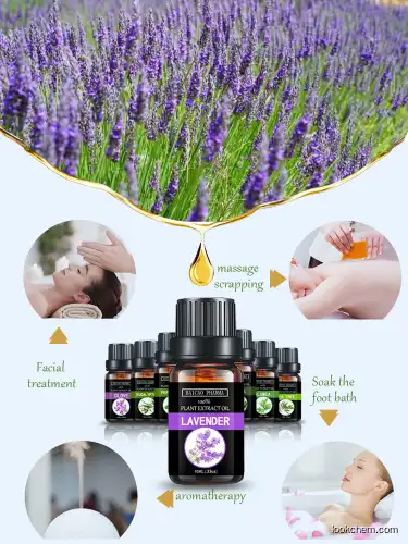 Whole Pure Natural Lavender Oil For  Body Massage in bulk