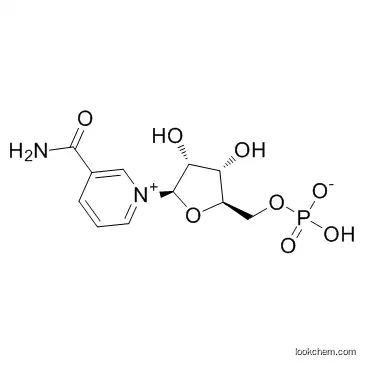 β-Nicotinamide mononucleotide CAS.1094-61-7 high purity spot goods best price