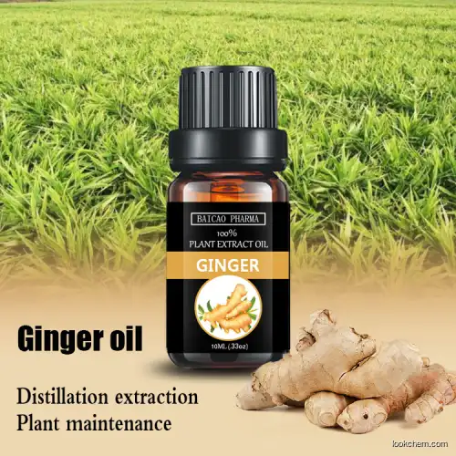 Bulk pure body care ginger essential oil with best price