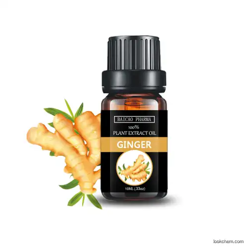 Bulk pure body care ginger essential oil with best price