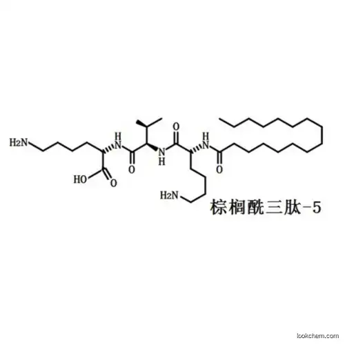 Nutritional anti-wrinkle materials Palmitoyl Tripeptide-5 623172-56-5