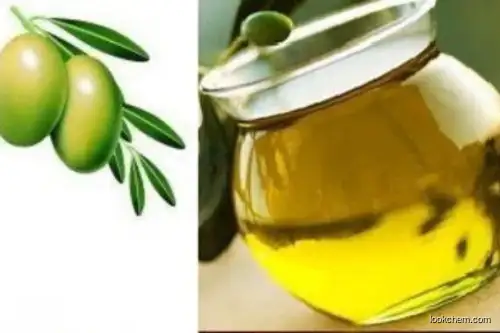 olive oil kalamata hydroxytyrosol cas:10597-60-1  hydroxytyrosol nootropics