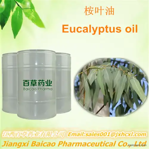 8000-48-4 eucalyptus globulus oil, 100% pure natural essential oil of Eucalyptus globulus  oil