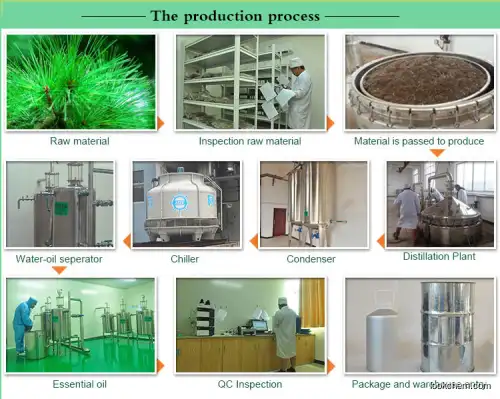 100% pureHigh pure Pine Needle l Oil with high quatity