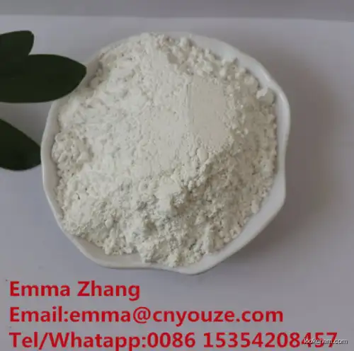 1-(2,3-Xylyl)piperazine monohydrochloride CAS 80836-96-0 1-(2,3-Dimethylphenyl)piperazine hydrochloride