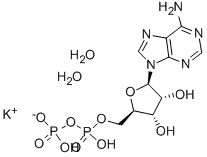 ADENOSINE 5'-DIPHOSPHATE MONOPOTASSIUM SALT