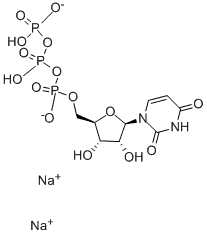 URIDINE-13C9, 15N2-5 TRIPHOSPHATE SODI U