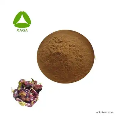 Natural High Quality Grape Skin Extract powder 10:1