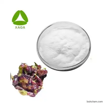 Natural High Quality Grape Skin Extract 50% Resveratrol Powder