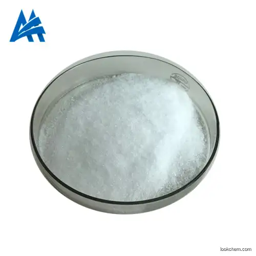 High Quality Nootropics Pramiracetam Powder 99% Bulk Pramiracetam CAS NO.68497-62-1