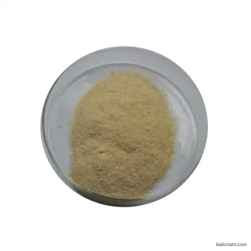 99% Peganum Harmala Extract Powder Harmaline Powder CAS 442-51-3