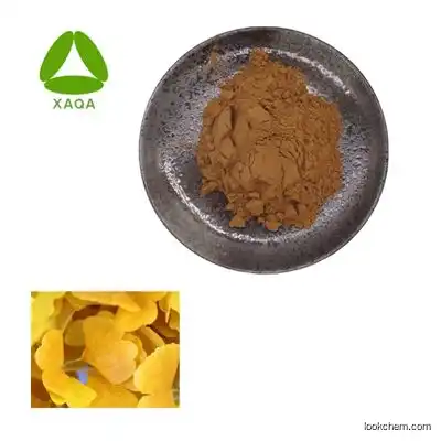 Natural Ginkgo biloba extract 24% ginkgo leaf flavonoids 6% Lactones Powder