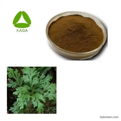 Natural Selaginella extract Powder 10:1