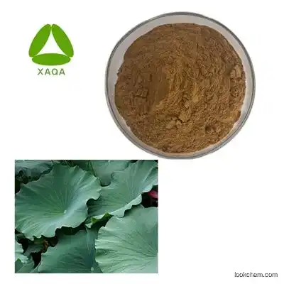 Natural Lotus Leaf Extract 98% Nuciferine Powder